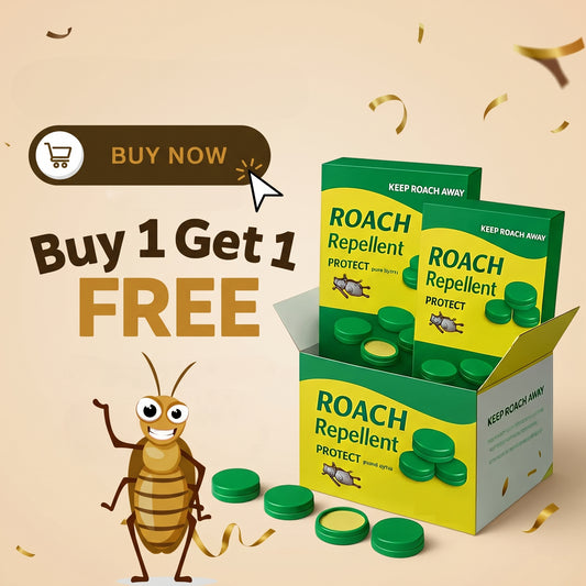 Cockroach Killer Gel {pack of 24+}